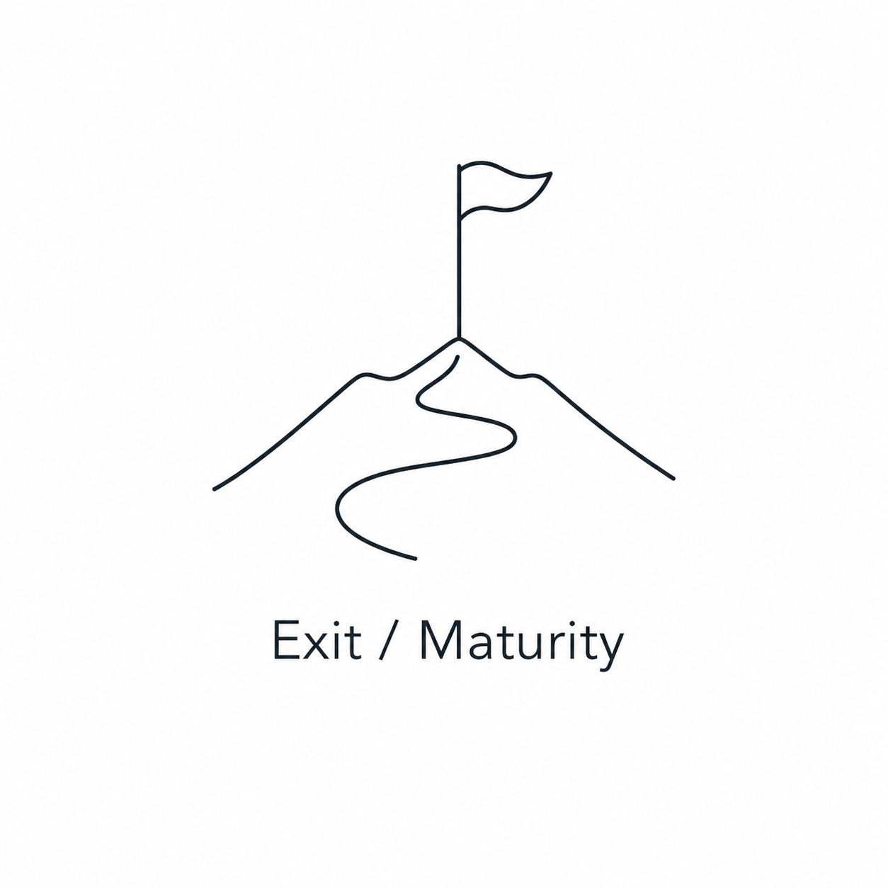 Exit / Maturity